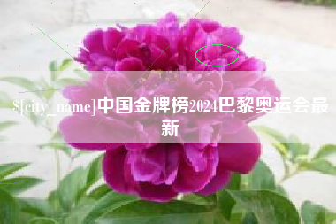 禹州中国金牌榜2024巴黎奥运会最新