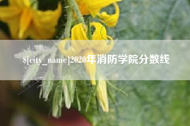 禹州2020年消防学院分数线