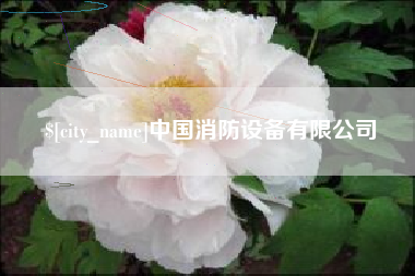 禹州中国消防设备有限公司