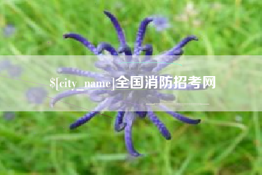 禹州全国消防招考网