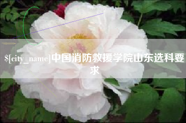 禹州中国消防救援学院山东选科要求