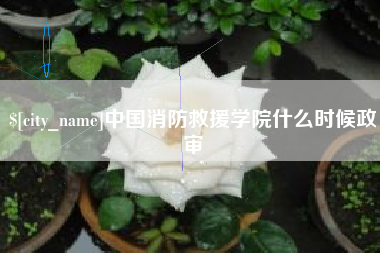 禹州中国消防救援学院什么时候政审