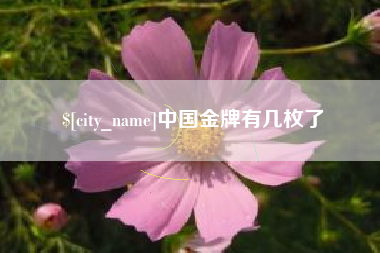 禹州中国金牌有几枚了