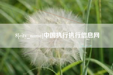禹州中国执行执行信息网