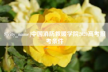 禹州中国消防救援学院2020高考报考条件