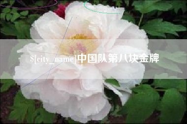 禹州中国队第八块金牌