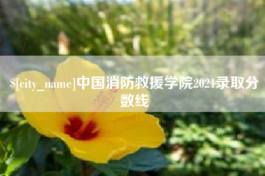 禹州中国消防救援学院2021录取分数线