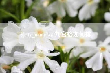 禹州579九宫格如何排