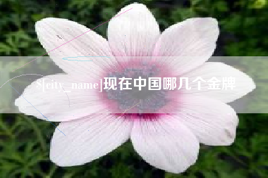 禹州现在中国哪几个金牌