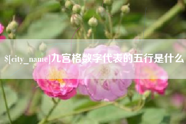 禹州九宫格数字代表的五行是什么