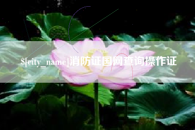 禹州消防证国网查询操作证
