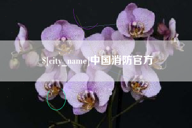 禹州中国消防官方