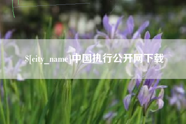 禹州中国执行公开网下载
