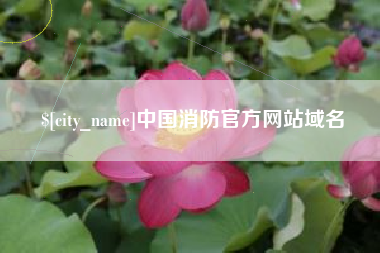 禹州中国消防官方网站域名