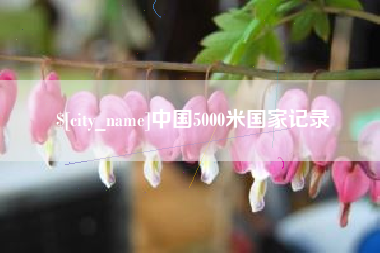 禹州中国5000米国家记录