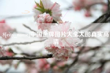 禹州中国金牌图片大全大图真实高清