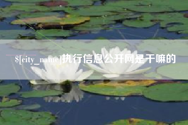 禹州执行信息公开网是干嘛的