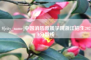 禹州中国消防救援学院浙江招生2020分数线