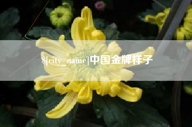 禹州中国金牌样子