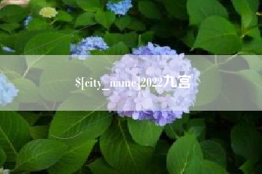 禹州2022九宫