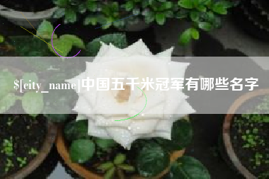 禹州中国五千米冠军有哪些名字