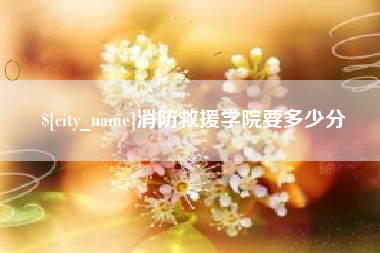 禹州消防救援学院要多少分