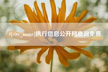 禹州执行信息公开网查询免费