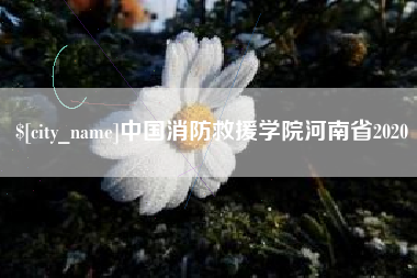 禹州中国消防救援学院河南省2020